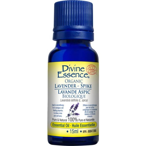 Organic LavenderSpike Essential Oil