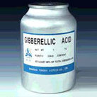 Gibberellic Acid (GA3), seed primer