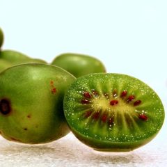 Hardy Kiwi (Actinidia arguta)