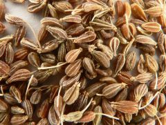 Pimpinella Anisum Seeds (Aniseed, Anise Seeds)