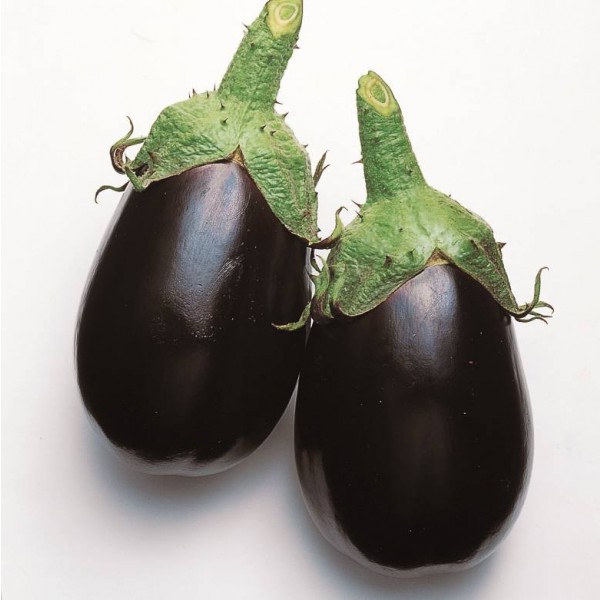 Black King Eggplant Seeds