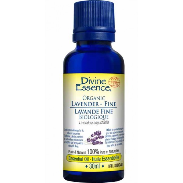 Lavender - Fine - Essential Oil *ORGANIC*