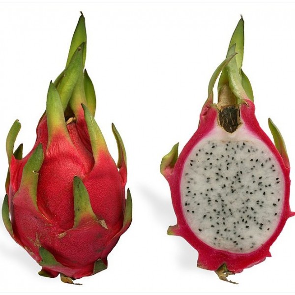 Hylocereus Undatus Seeds (Dragon Fruit)
