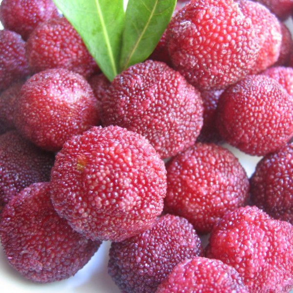 Myrica Rubra Fruits - Yangmei