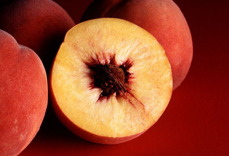 Prunus Persica Seeds (Peach Tree Seeds)