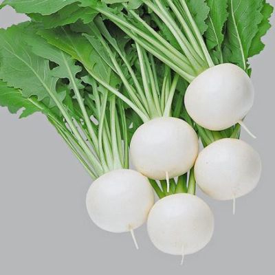 Graines Navet Fuku Komachi