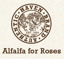 Logo Authentic Haven Brand