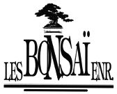 Logo LesBonsai